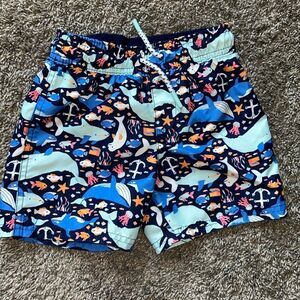 Cat and Jack 3T bathing suit